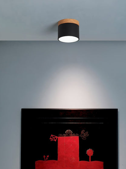 Spot de Plafond Minimaliste | Éclairage Ciblé et Design Scandinave