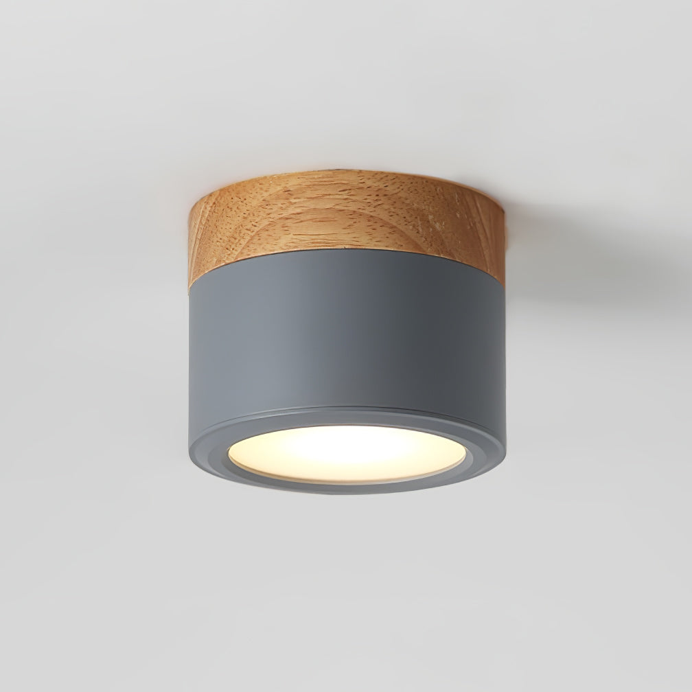 Spot de Plafond Minimaliste | Éclairage Ciblé et Design Scandinave