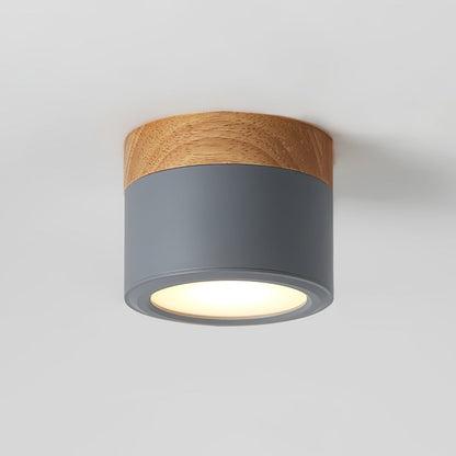 Spot de Plafond Minimaliste | Éclairage Ciblé et Design Scandinave