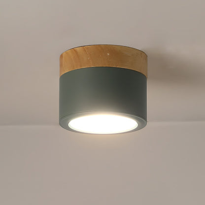 Spot de Plafond Minimaliste | Éclairage Ciblé et Design Scandinave