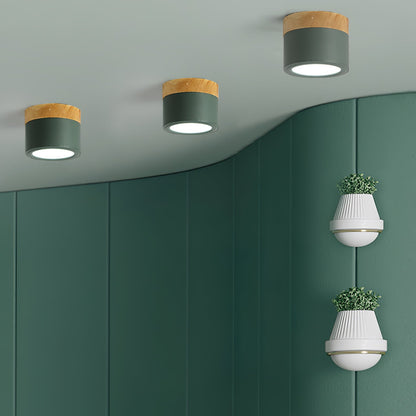 Spot de Plafond Minimaliste | Éclairage Ciblé et Design Scandinave