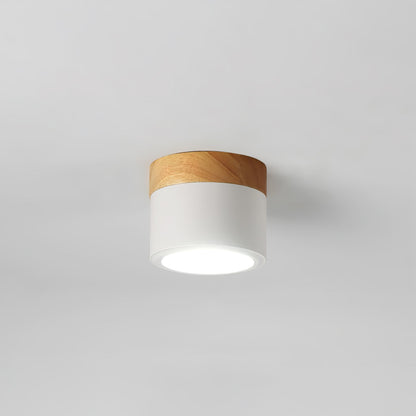 Spot de Plafond Minimaliste | Éclairage Ciblé et Design Scandinave