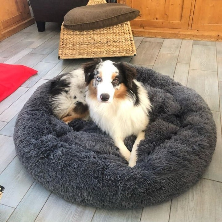 Lit Orthopédique pour Grand Chien | Confort Douillet et Housse Lavable