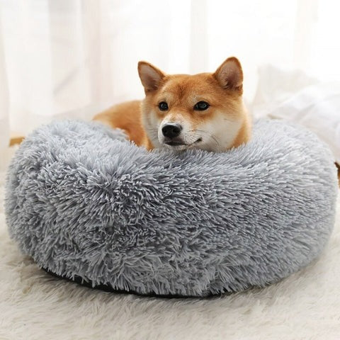 Lit Orthopédique pour Grand Chien | Confort Douillet et Housse Lavable