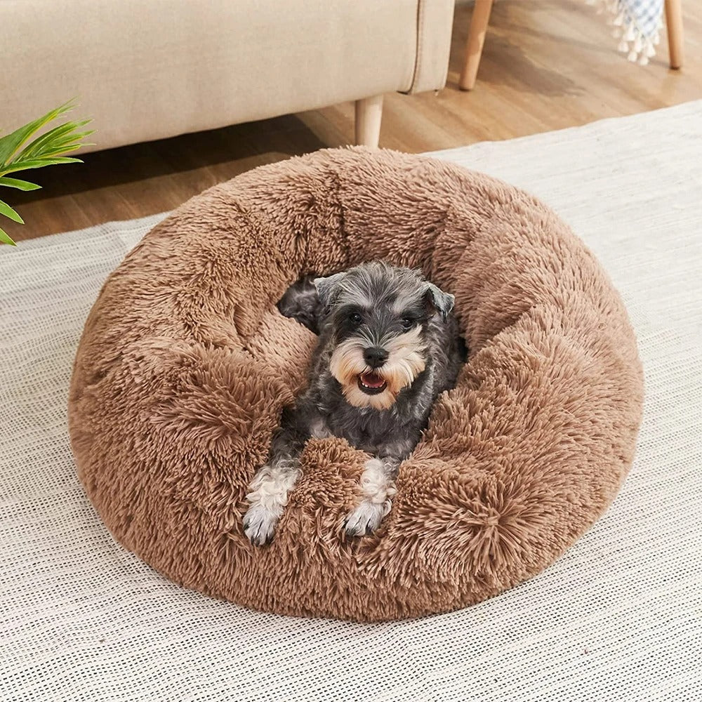 Lit Orthopédique pour Grand Chien | Confort Douillet et Housse Lavable