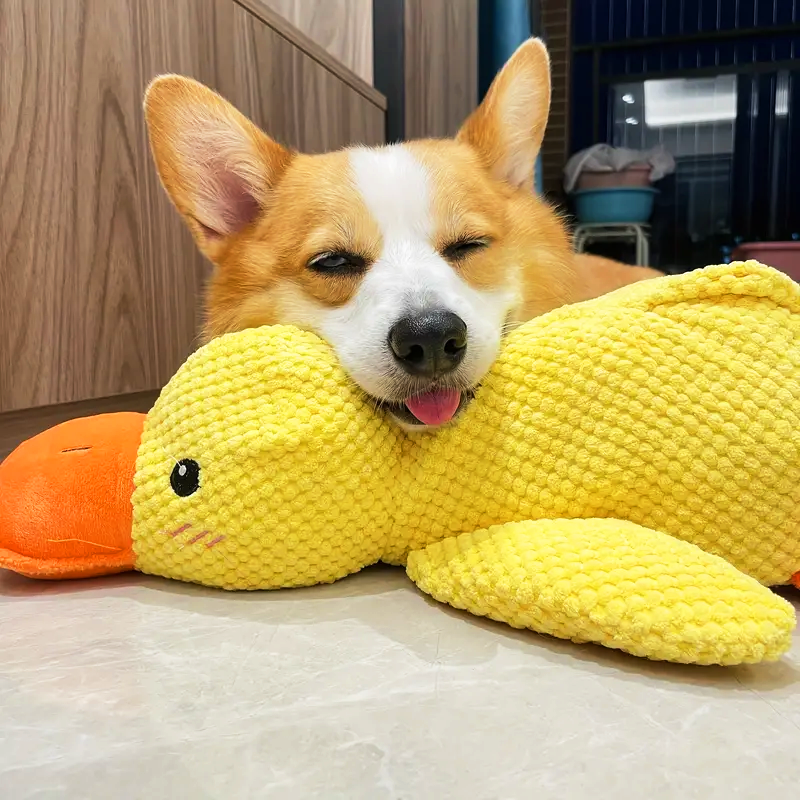 Jouet Interactif pour Chien | Stimulation Mentale et Réduction du Stress