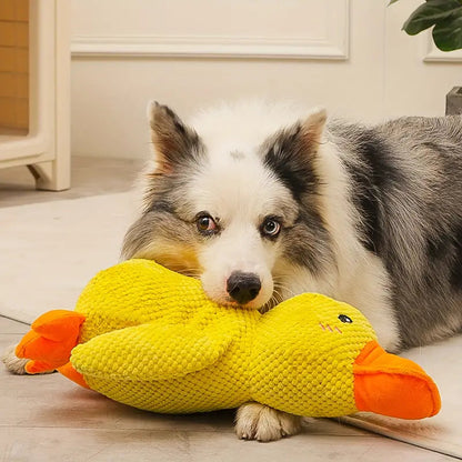 Jouet Interactif pour Chien | Stimulation Mentale et Réduction du Stress