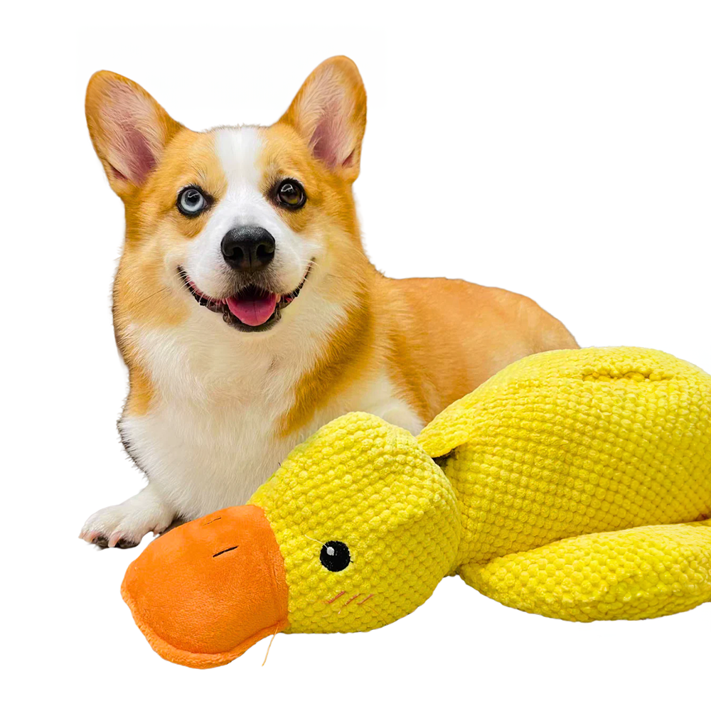 Jouet Interactif pour Chien | Stimulation Mentale et Réduction du Stress