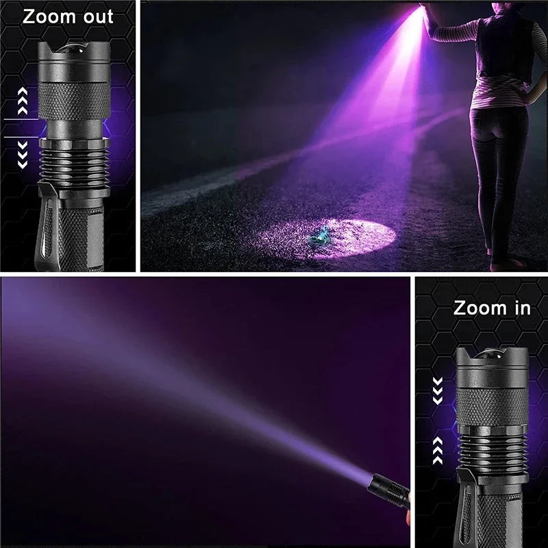 Lampe UV de Détection des Taches | Efficace pour Urine d'Animaux et Impuretés