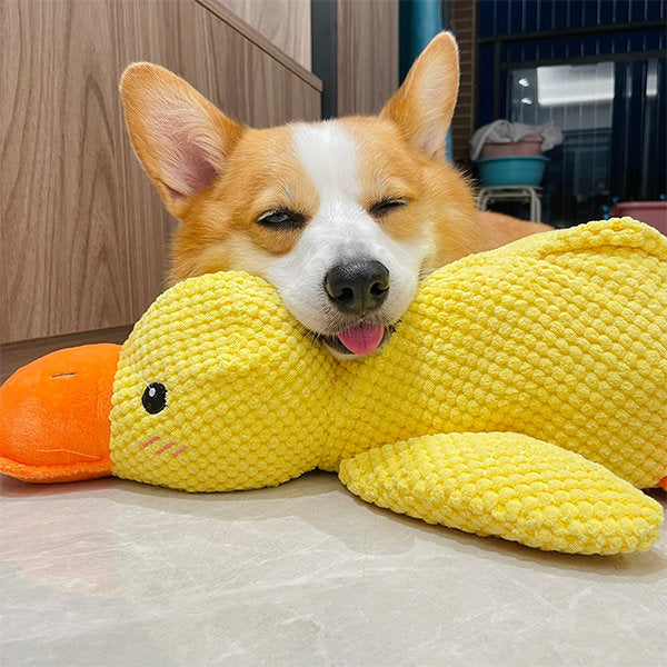 Jouet Interactif pour Chien en Canard | Son de Canard et Lavable en Machine
