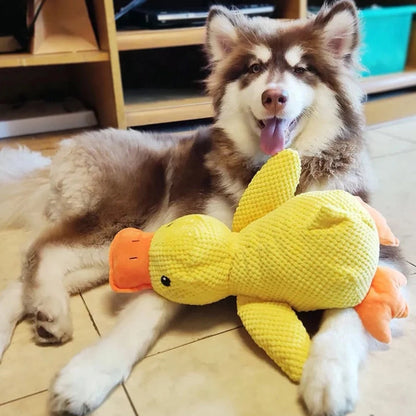 Jouet Interactif pour Chien en Canard | Son de Canard et Lavable en Machine