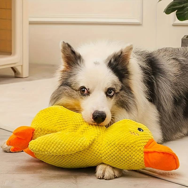 Jouet Interactif pour Chien en Canard | Son de Canard et Lavable en Machine