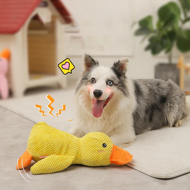 Jouet Interactif pour Chien en Canard | Son de Canard et Lavable en Machine