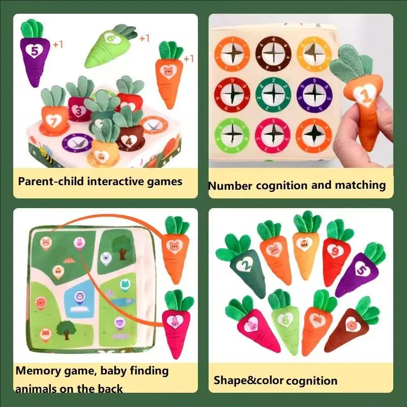Jouet Sensoriel Montessori | Développement des Compétences Motrices