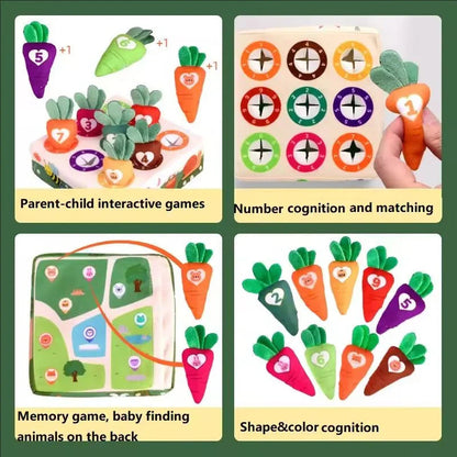 Jouet Sensoriel Montessori | Développement des Compétences Motrices