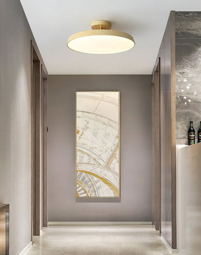 Plafonnier LED Moderne et Élégant | Illumination Parfaite pour Tous les Espaces