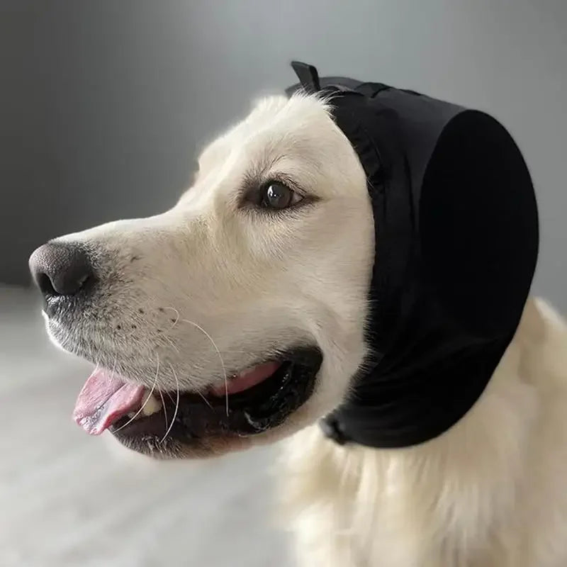 Protecteurs d'oreilles pour Chiens | Réduction du Bruit et Confort Optimal