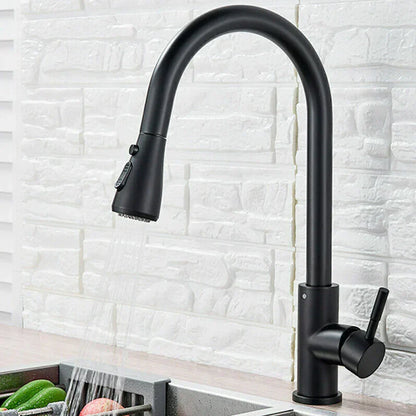 Robinet de Cuisine Pull-Down Noir | Élégance et Flexibilité au Quotidien