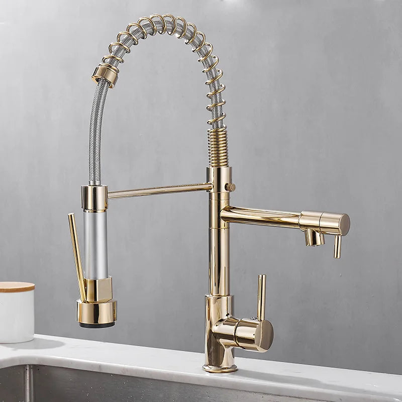 Robinet à Double Sortie pour Cuisine | Design Élégant et Installation Facile