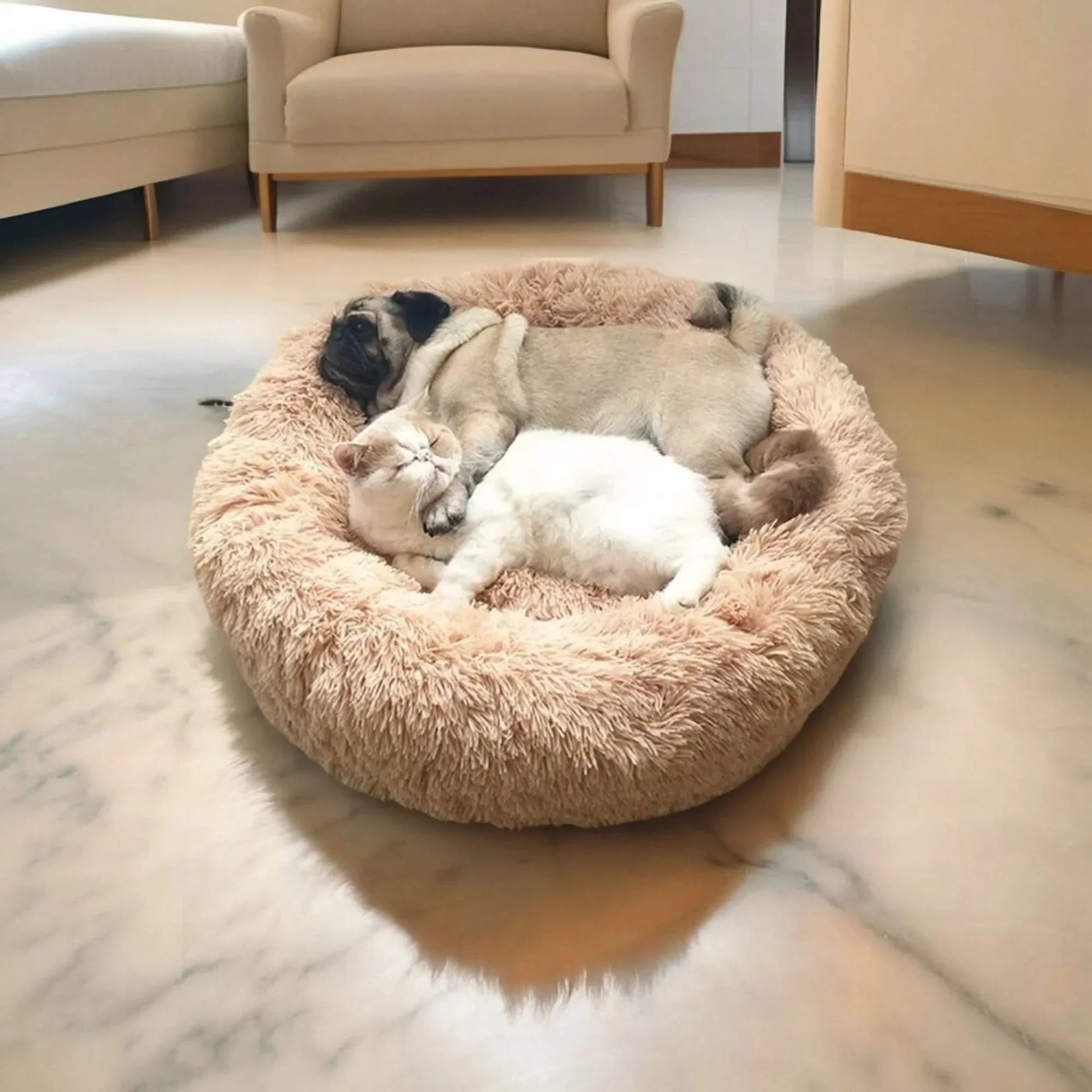 Lit pour Chien Surélevé Doux | Confort Ultime et Détente Assurée