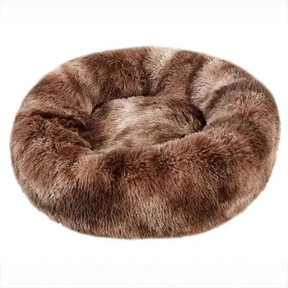 Lit pour Chien Surélevé Doux | Confort Ultime et Détente Assurée