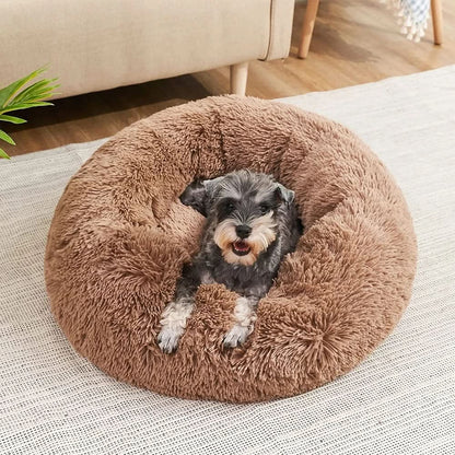 Lit pour Chien Surélevé Doux | Confort Ultime et Détente Assurée