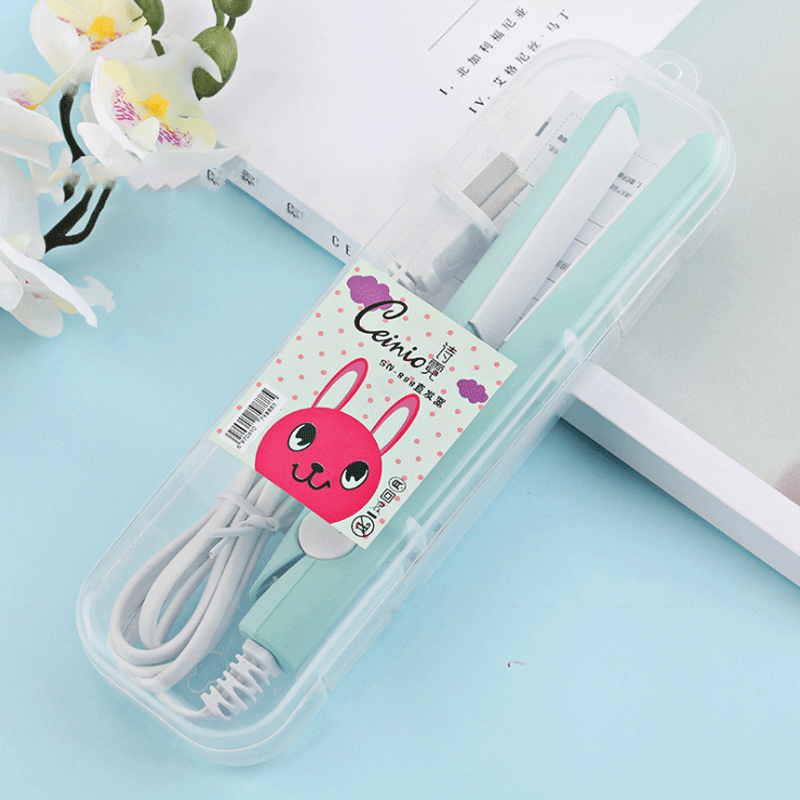 Lisseur de Cheveux Portable | Coiffage Rapide et Compact en Voyage