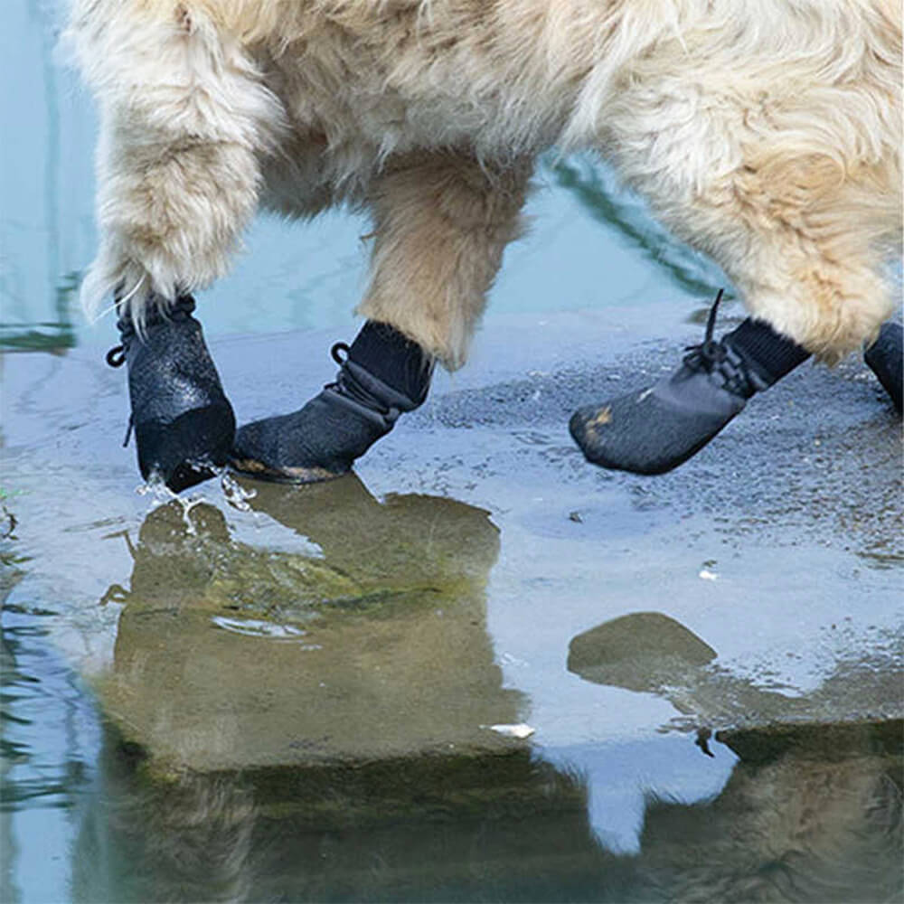 Bottes de Chien Imperméables | Protection Confortable sur Tous les Terrains