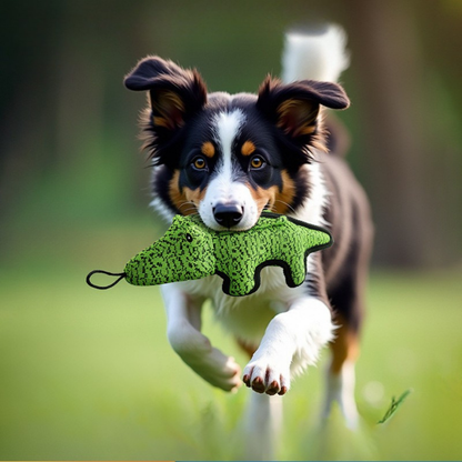 Jouet à Mâcher Résistant pour Chiens | Siffleur Intégré et Facile à Nettoyer