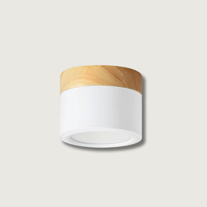 Spot de Plafond Minimaliste | Éclairage Ciblé et Design Scandinave