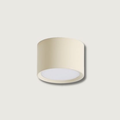 Luminaire de Plafond Élégant | Éclairage Doux et Diffus pour Intérieur