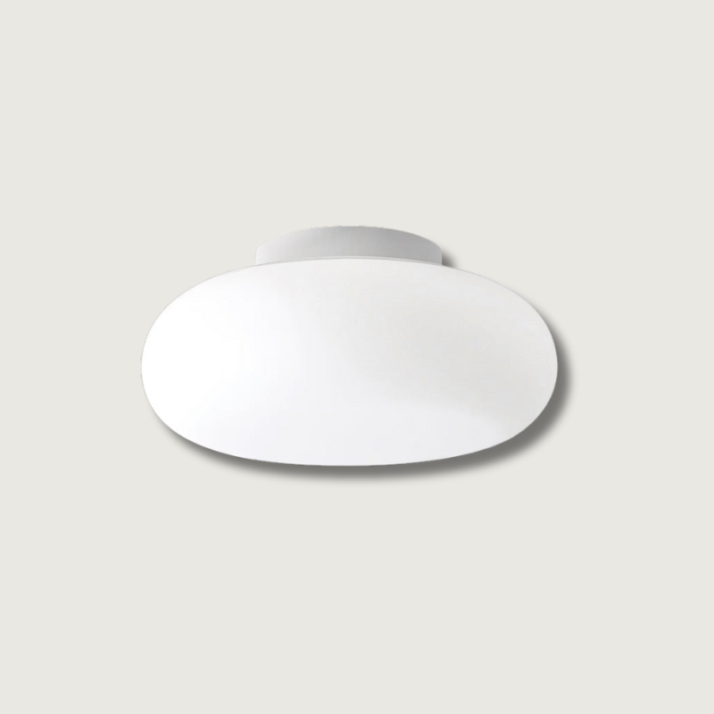 Plafonnier LED Moderne pour Intérieur | Éclairage Élégant et Économe en Énergie