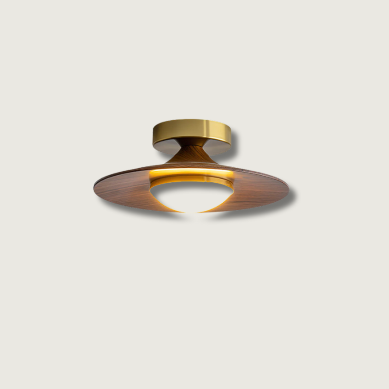 Luminaires de Plafond Modernes | Élégance et Design Compact