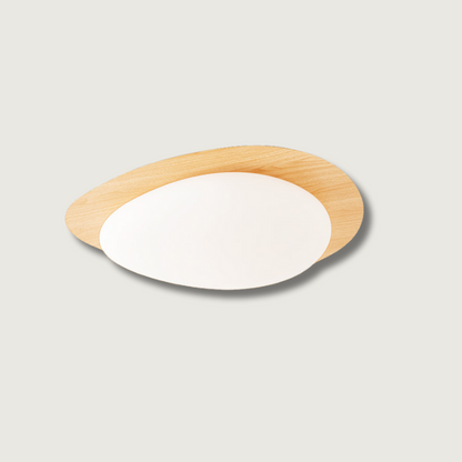 Plafonnier LED Minimaliste | Éclairage Homogène et Ambiance Chaleureuse