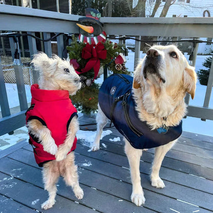 Manteau Imperméable pour Chien | Harnais Intégré et Confort Optimal