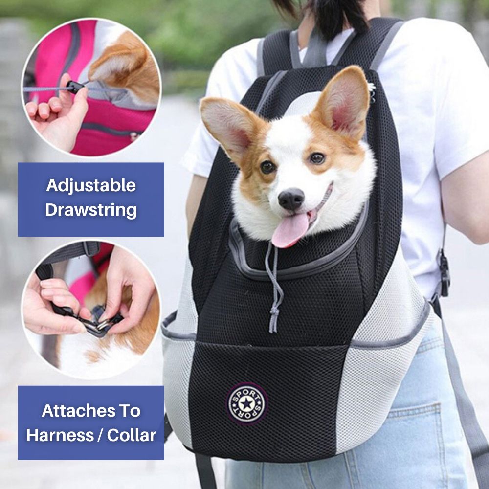 Sac à Dos pour Chien Ajustable | Maille Respirante et Rangement Pratique