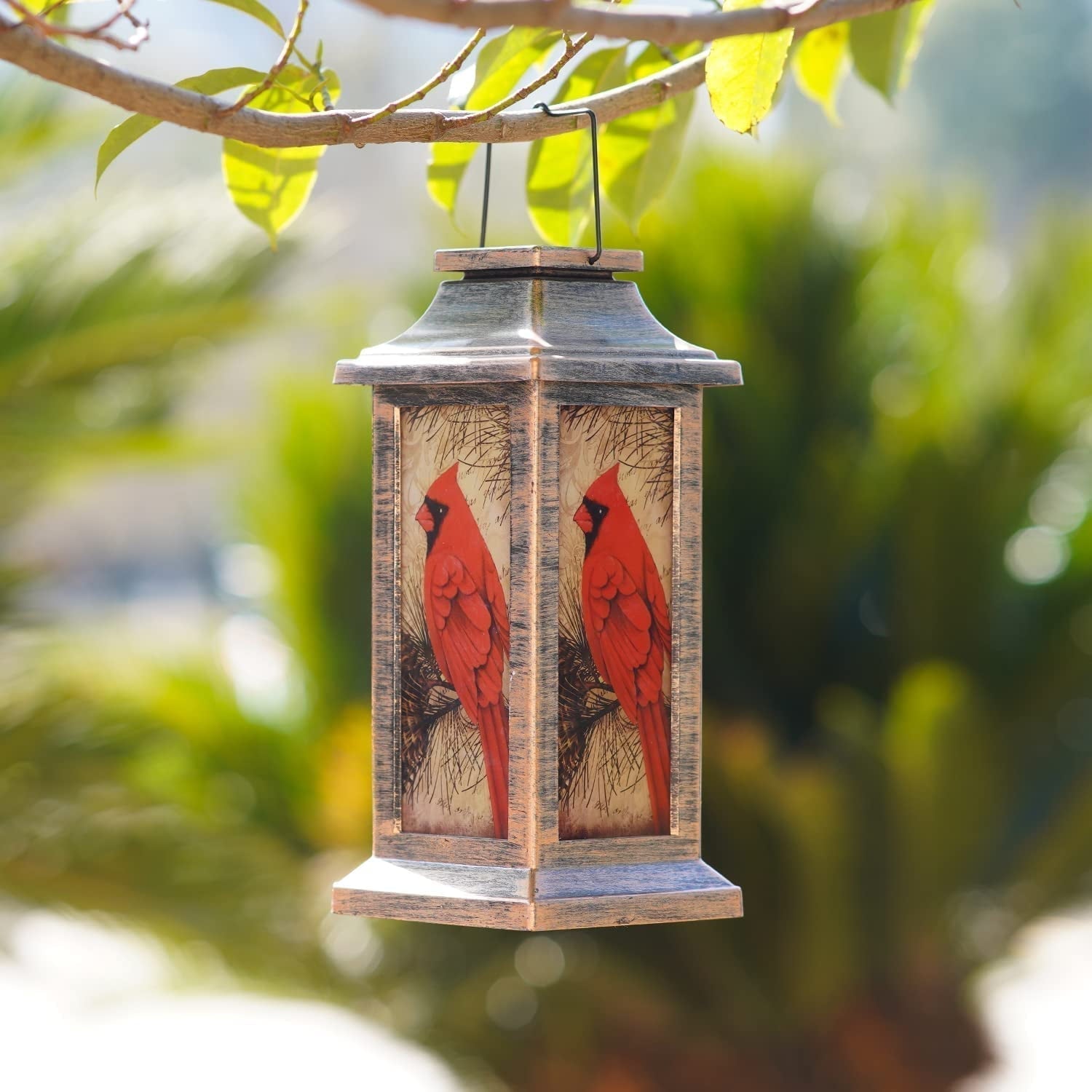 Lanterne Solaire LED pour Jardin | Décoration Portable et Étanche