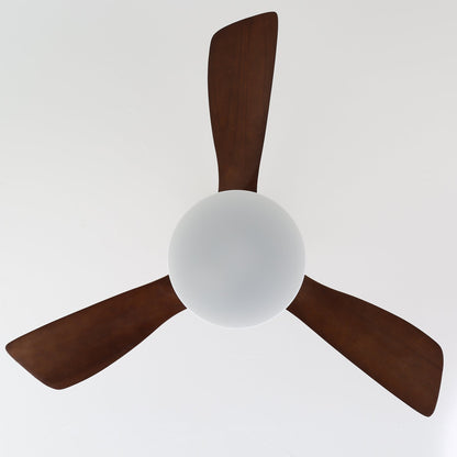 Ventilateur de Plafond en Bois | Élégance Naturelle et Éclairage Doux