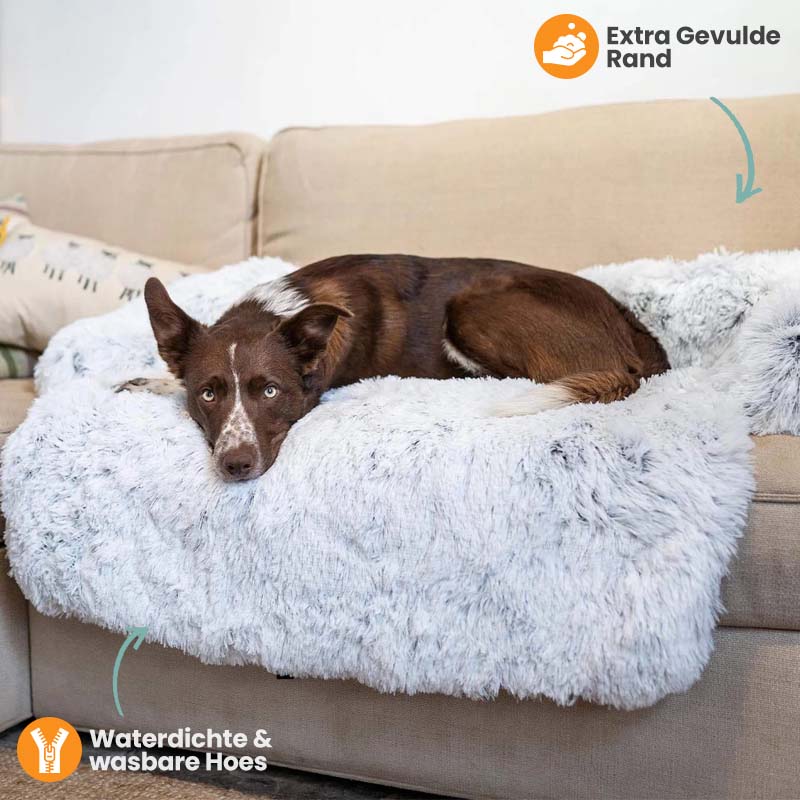 Protecteur de Lit pour Chien | Imperméable et Doux avec Antidérapant