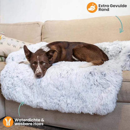 Protecteur de Lit pour Chien | Imperméable et Doux avec Antidérapant