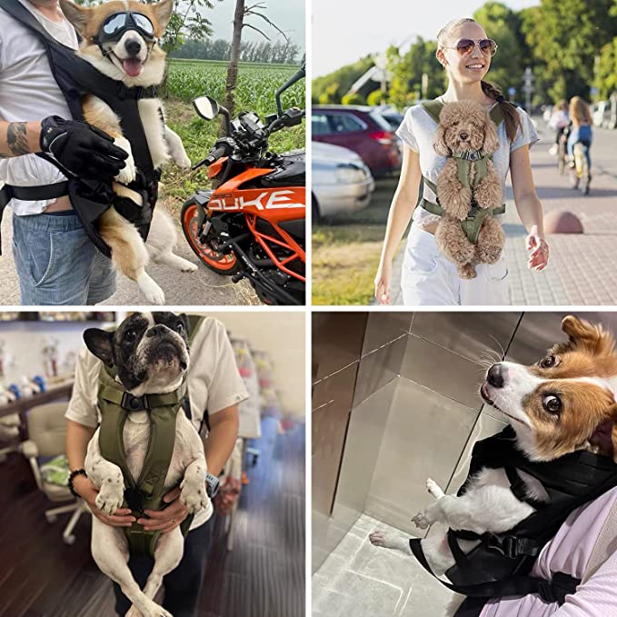 Sac à Dos de Transport pour Chien | Confort et Liberté de Mouvement