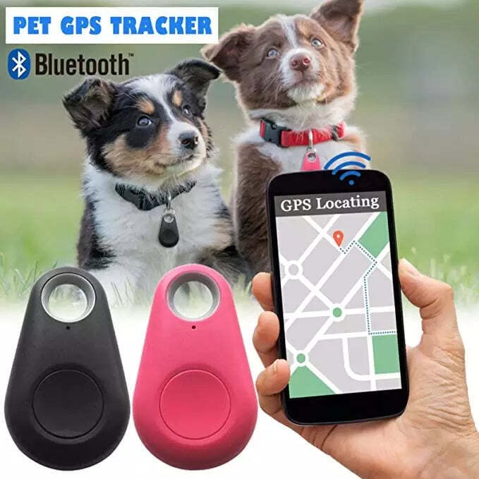 Traceur GPS pour Animaux de Compagnie | Suivi en Temps Réel et Léger