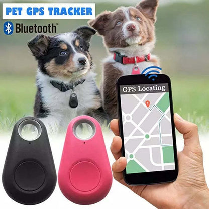 Traceur GPS pour Animaux de Compagnie | Suivi en Temps Réel et Léger