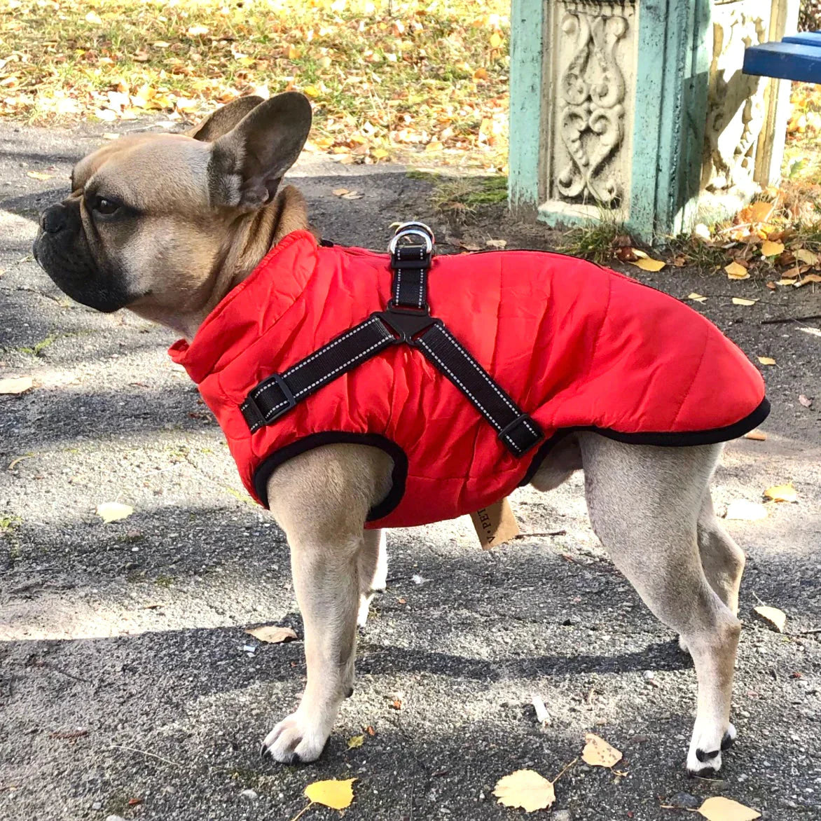 Manteau Imperméable pour Chien | Harnais Intégré et Confort Optimal