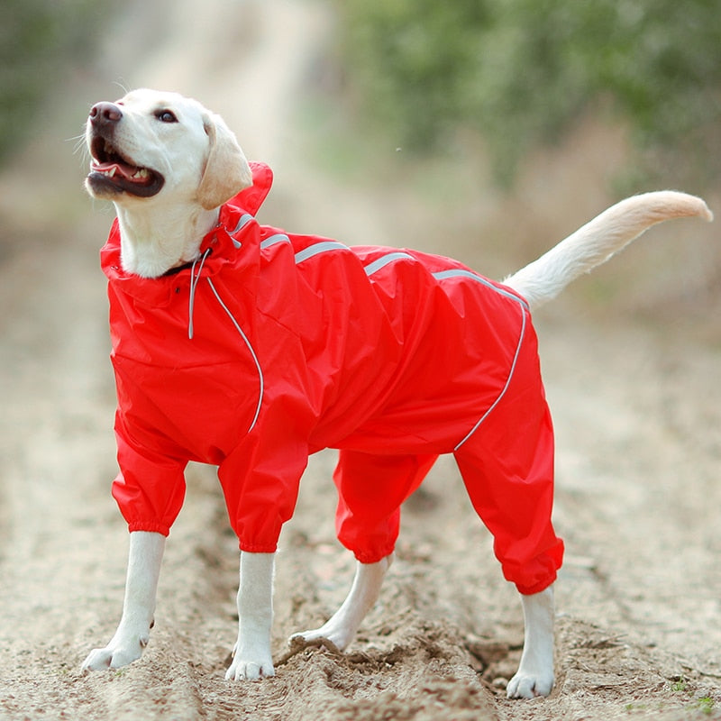PluiePaw - Manteau Imperméable Réfléchissant pour Chien, Combinaison à Capuche Fermeture Éclair