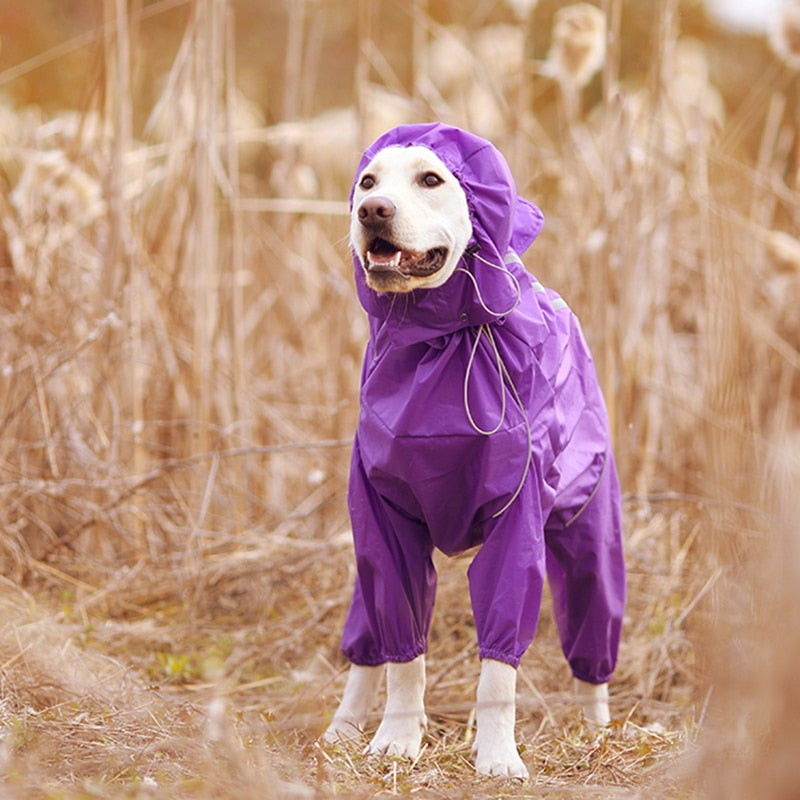 PluiePaw - Manteau Imperméable Réfléchissant pour Chien, Combinaison à Capuche Fermeture Éclair
