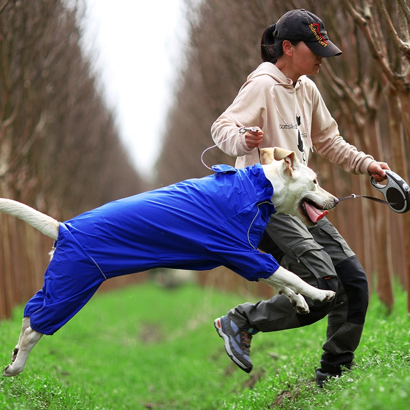 PluiePaw - Manteau Imperméable Réfléchissant pour Chien, Combinaison à Capuche Fermeture Éclair