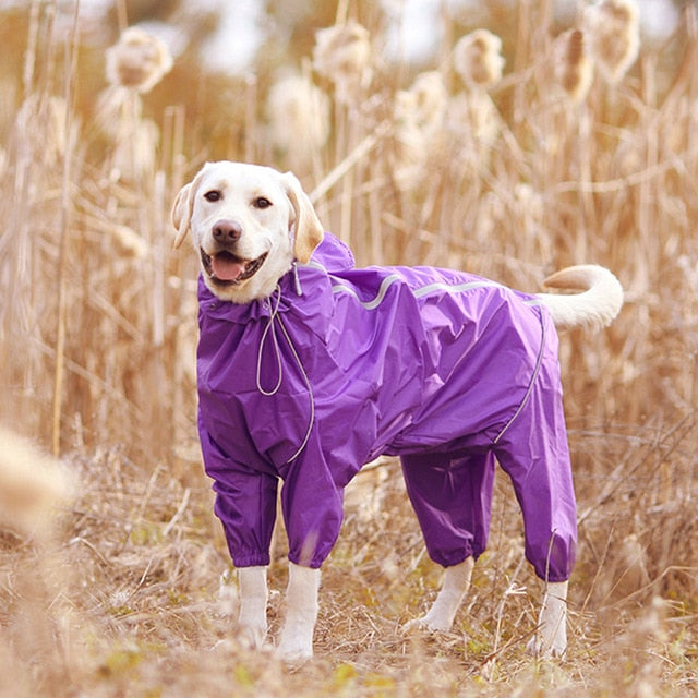 PluiePaw - Manteau Imperméable Réfléchissant pour Chien, Combinaison à Capuche Fermeture Éclair