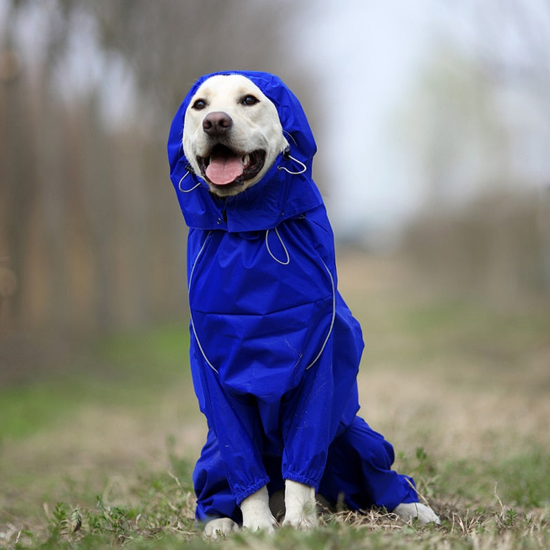 PluiePaw - Manteau Imperméable Réfléchissant pour Chien, Combinaison à Capuche Fermeture Éclair