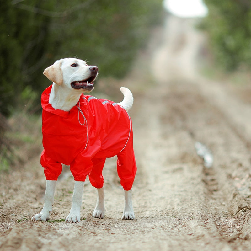 PluiePaw - Manteau Imperméable Réfléchissant pour Chien, Combinaison à Capuche Fermeture Éclair
